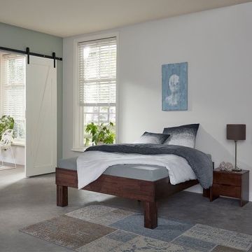 Beuken Basic Tarnovo 03