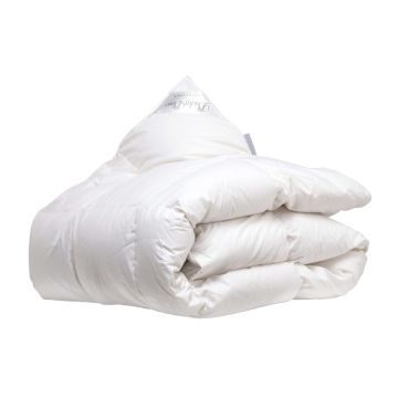 Ducky Dons Taurus Gänsedaunen Ganzjahresdecke Ducky Dons Taurus Gänsedaunen Ganzjahresdecke